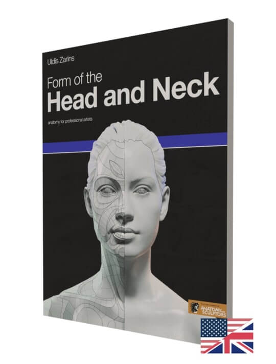 form of the head and neck