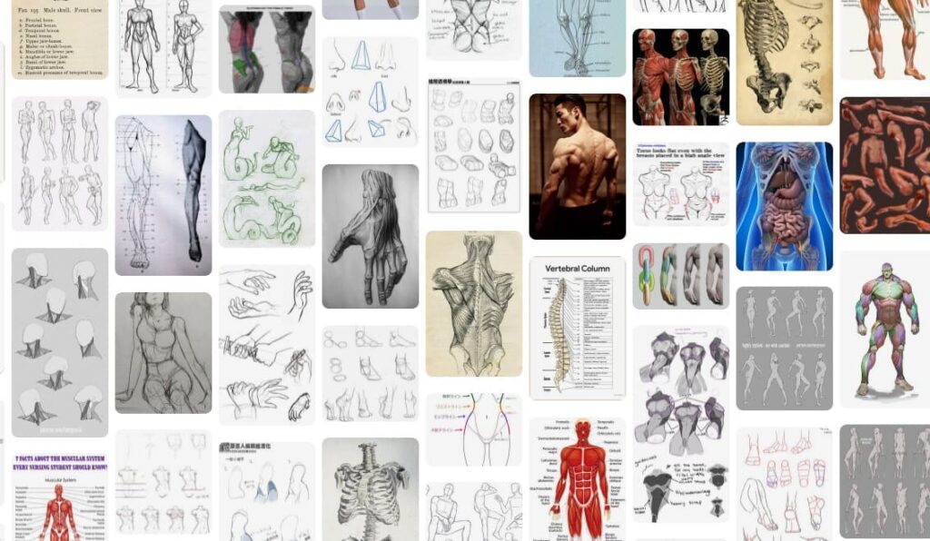 pintrest real and drawing anatomy images | Resources for Human Anatomy Reference | 14 Killer Resources for Human Anatomy Reference